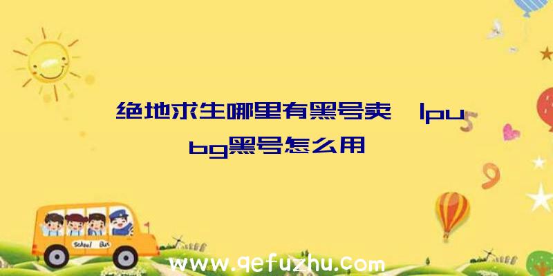 「绝地求生哪里有黑号卖」|pubg黑号怎么用